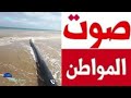 الكلمة ليك