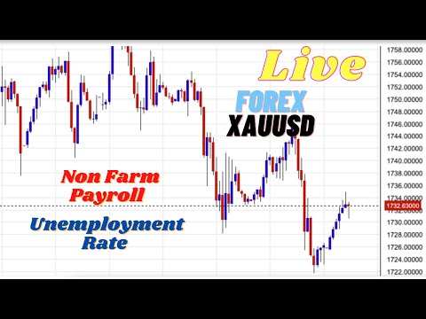 Non Farm Payroll | Gold Crashed From 1805$ | Gold | Crude Oil | Forex Update