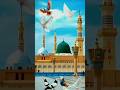 A Din A Hak ke rehbar Lelo Salam Hamara 🤗💖 #shorts #shortvideo #islamicvideo #islamicshorts #facts