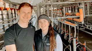 Irish Dairy Farm: MILKING PARLOUR TOUR