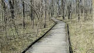 Celebrity Early spring Busey Woods hike Net Worth