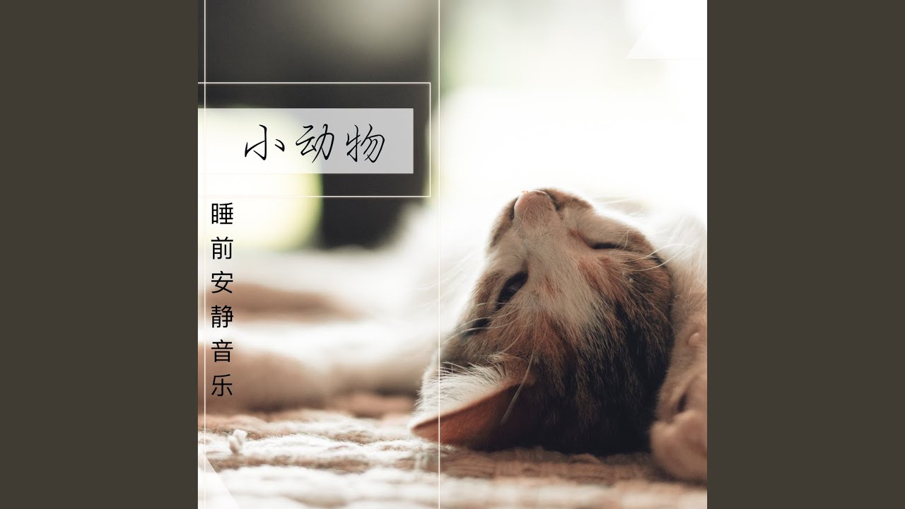 Regardez 最好的朋友 sur YouTube