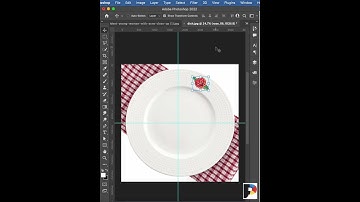 Duplicate pattern - Photoshop 2022 #porcelain #roses #photoshoptutorial  #photoshop2022