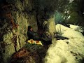 solo winter overnight - bushcraft