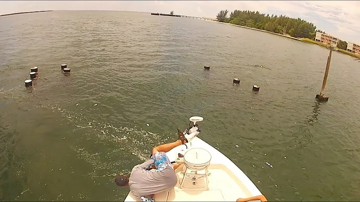 Goliath grouper snatches man out of chair | Boca Grande big fish bloopers