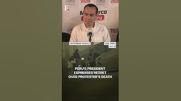 Watch: Man Shoots Protester In Peru As Unrest Intensifies | N18G