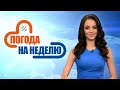 Бабье лето продолжается! Прогноз погоды с 24 по 29 сентября | Погода на неделю | Плюс-минус