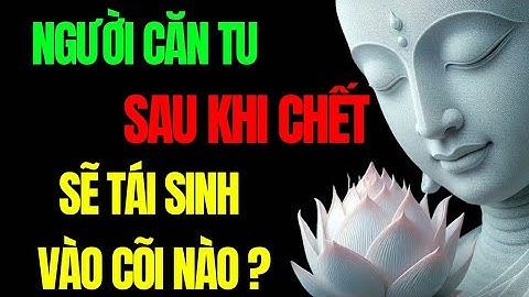 "Người Căn Tu Sau Khi Chết Sẽ Tái Sinh Vào Cõi Nào? Hành Trình Tâm Thức Sáng Tỏ – Tu Tâm Tĩnh Lặng"