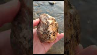 Cracking open a rock and discovering a secret pearl vault! #PearlGeode#RareGemstones#ytshorts #short