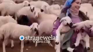 جنا مالا هات ورن بنرن ورن