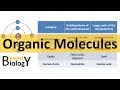 Carbon Compounds and Bonding Concepts