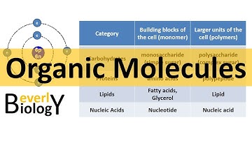 Organic Molecules / Organic Chemistry (updated)