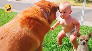 New Funniest Dogs and Cat A Lot of Laughter All Day # | Pets Tv