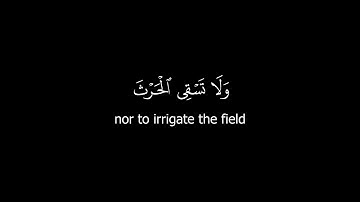 كروما قرآن كريم - القارئ: ألياس حجري - سورة البقرة ( الآيات 69 - 72 ) #كرومات_قرآن