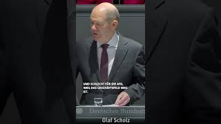 Olaf Scholz über die AfD