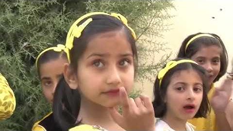 Annual Day Event 2017 Apex Public School