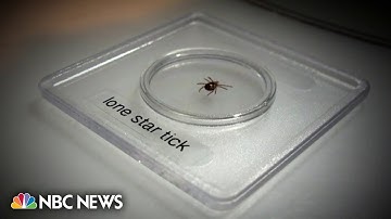 Alpha-gal syndrome has afflicted thousands, CDC says 42% of doctors have never heard of it