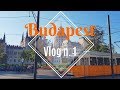 In Erasmus a Budapest! - VLOG [Sub ITA]