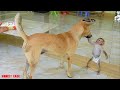 Baby Monkey Luna Standing Hug And Ride Puppy Momo