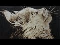 Hopeful Cat | Pyrography Time-lapse