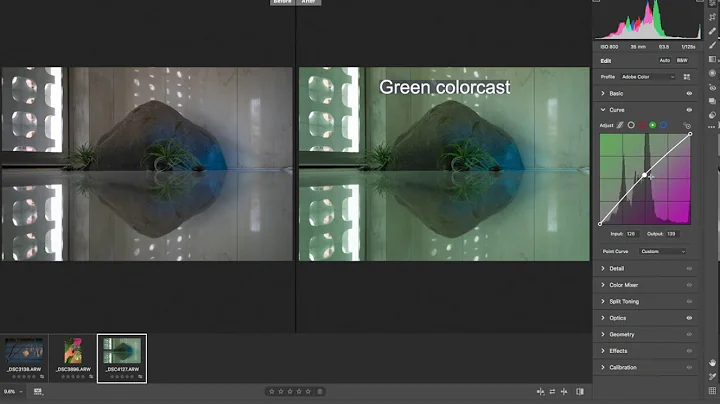 Adobe Camera Raw Curve Panel: Color Corrections Part 2
