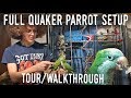 QUAKER PARROT CAGE TOUR! Full Enclosure Walkthrough for Small Parrots