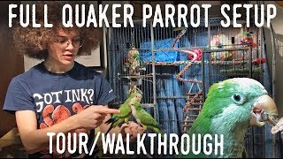 QUAKER PARROT CAGE TOUR! Full Enclosure Walkthrough for Small Parrots