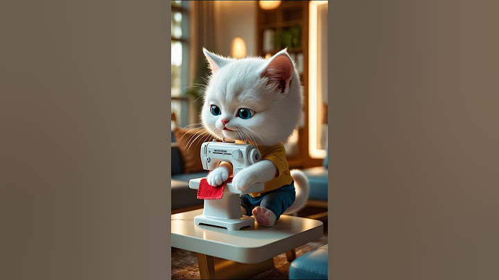 The Kitten Just Wanted a Tiger Friend To Play With #cat #kitten #cute #story #gatinho