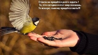 ТВОРИТЕ ДОБРЫЕ ДЕЛА....