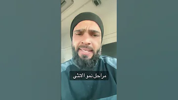 10 فبراير 2025 