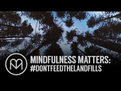 Vídeo: Mindfulness Matter Dontfeedthelandfills - Matador Network