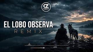 🐺 El Lobo Observa (Kurt Bakar) Soul Jazz Remix Ozbeyai 
