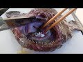 食べすぎで死亡したアンコウから魚がありえないくらい出てきた！！！！！
