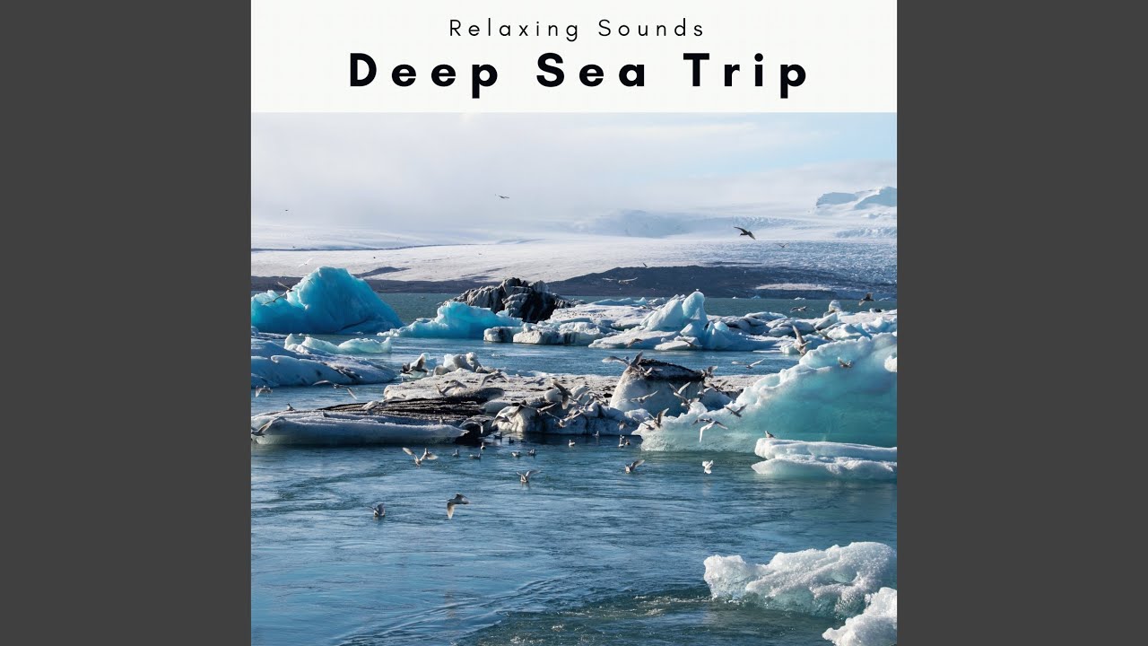 Sea Noises Garden for Total Recharge