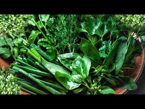 Video: Sommersalat Med Grønne Løg Og æg