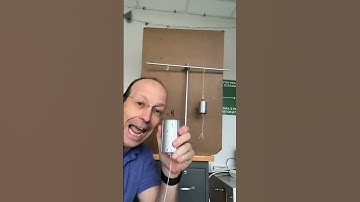 Physics Answer: Which string will break first?