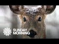 Nature: Snowfall in South Dakota