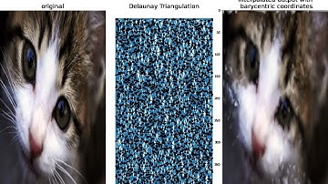 Image Interpolation | Delaunay Triangulation | Barycentric Coordinates | Reconstruction |  python