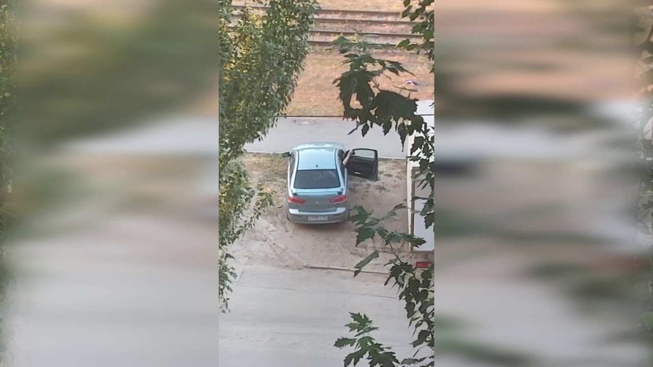 Воробей разбился об машину Воробей разбился об машину
