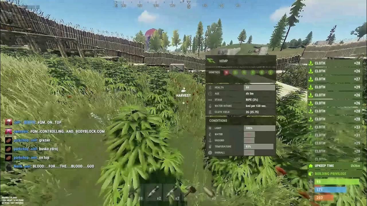 Rust NEW Farming Meta Discovered! How to Grow Hemp OUTSIDE in 2021