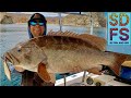 Yoyo iron fishing grouper pargo  cabrilla  loreto baja california sea of cortez  spring ep1 sdfs