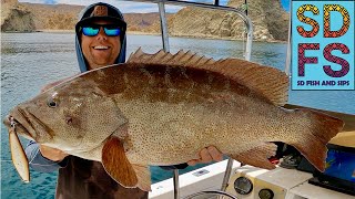 YoYo Iron Fishing Grouper, Pargo & Cabrilla | Loreto Baja California Sea of Cortez | Spring Ep1 SDFS