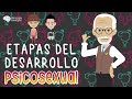 5 Etapas de desarrollo Psicosexual de Sigmund Freud (Resumen animado)