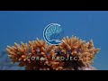 Introduction to alunan coral project resortbased coral conservation i alunan coral project