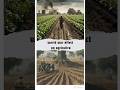 Indian agricultre system after 1947 |#reels