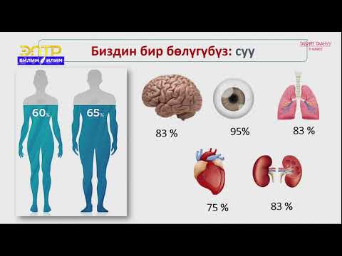 Video: Бака суу түсү: өсүмдүктүн сүрөттөлүшү жана кам көрүү