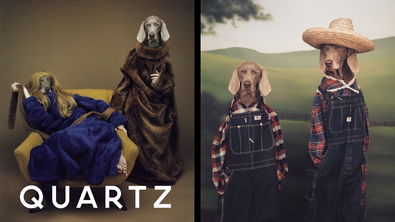 How to make your dogs look human YouTube