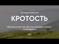 Кротость / неделя молитвы / Александр Щиглинский