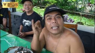 Pleci Hanging Stand BRALING VAN JAVA#2 (PURBALINGGA)