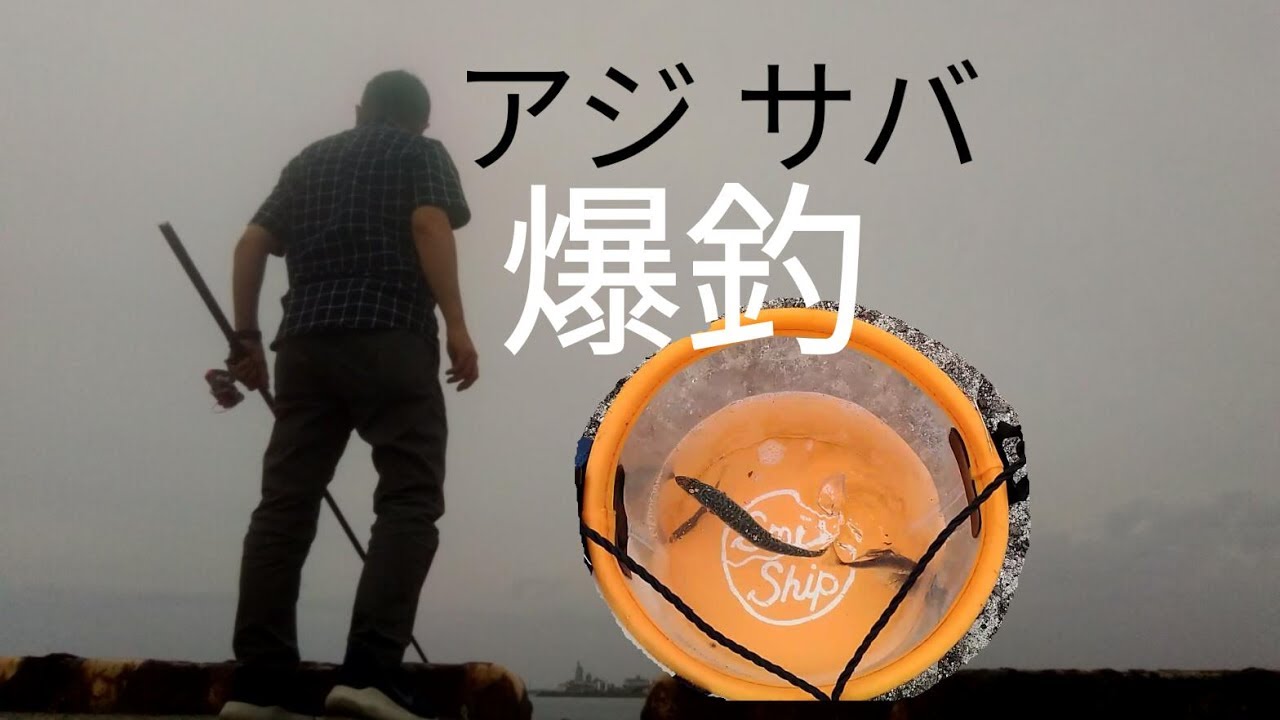 関空近隣の泉佐野漁港でアジ サバが爆釣してた サビキ釣り Youtube